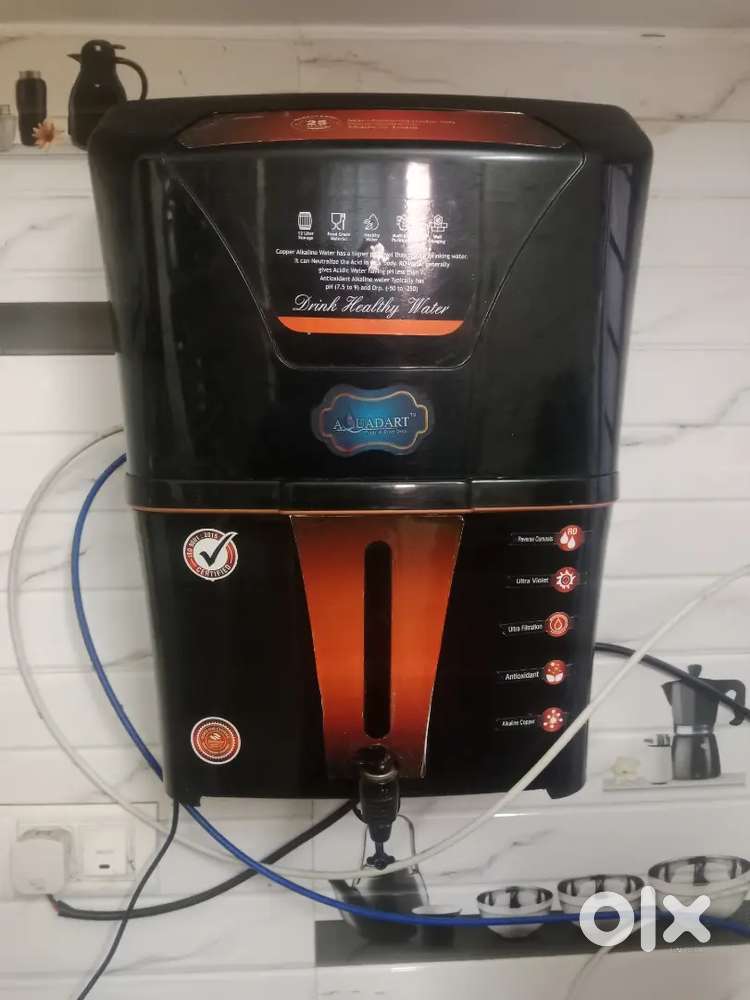 Water purifier