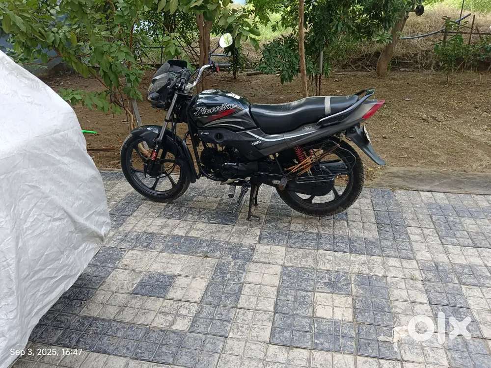 Honda Pp 2017