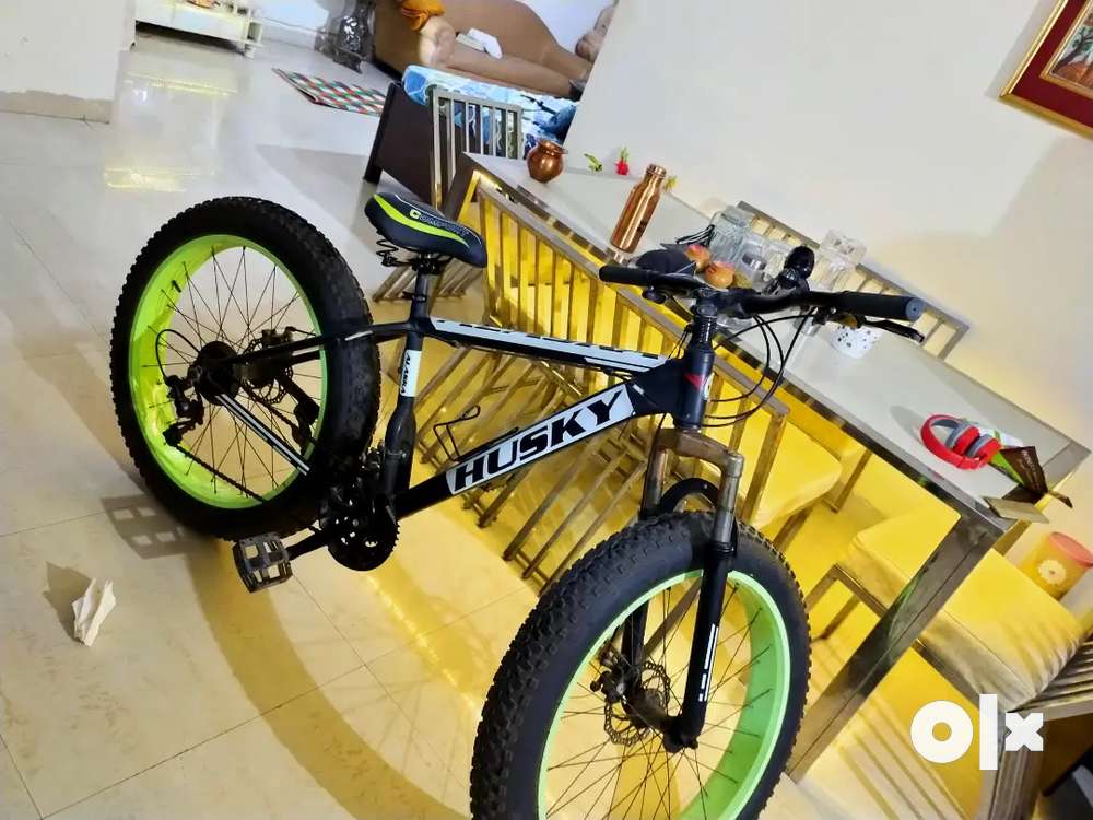Alaska husky fat bike Bicycles 1762315831
