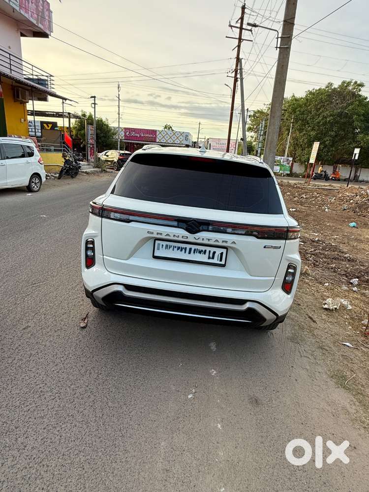Grand Vitara Delta Smart Hybrid 1 Year Old