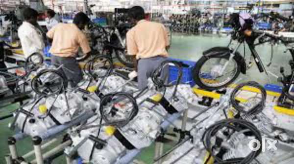 50 + vacancy available in manufacturing company