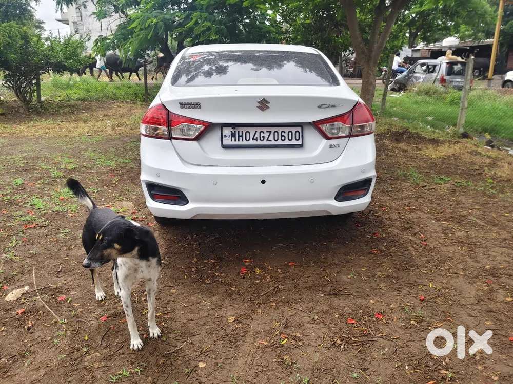 Ciaz Maruti Suzuki 2015 Zxi Plus