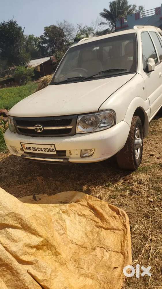 Argent Sall