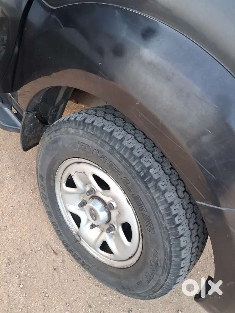 Safari Storme