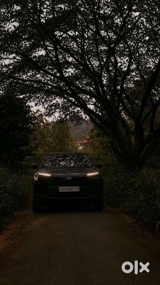 Tata Harrier Diesel 2024