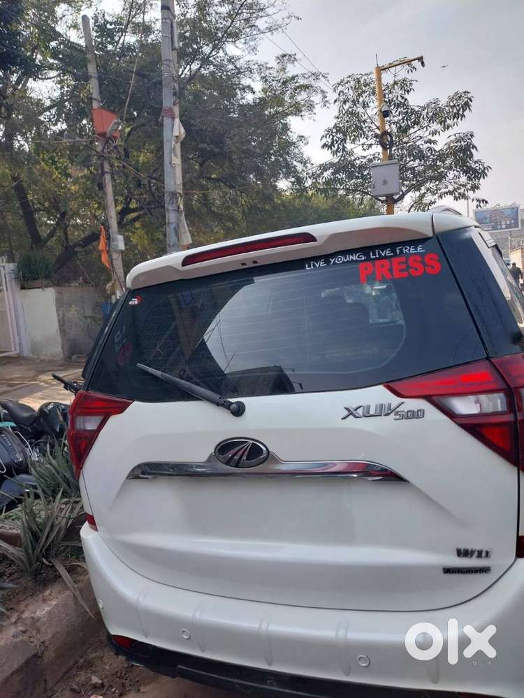 Suv Lovers Attention
