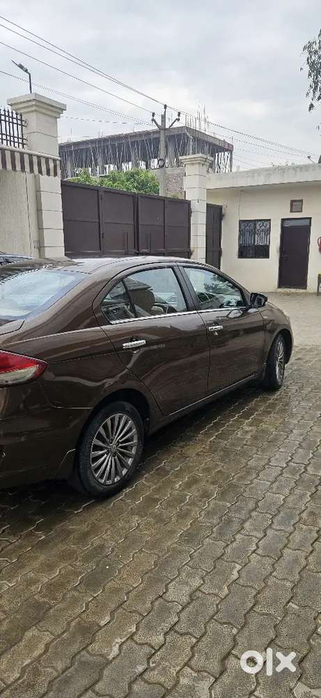 Maruti Suzuki Ciaz