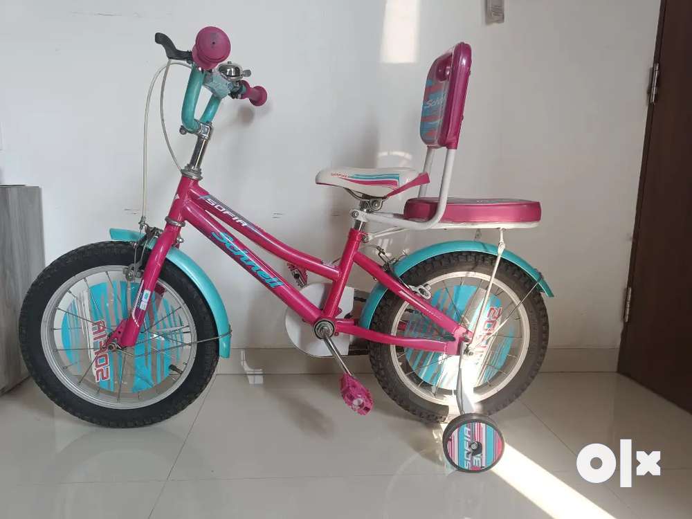 Schnell best sale kids cycle