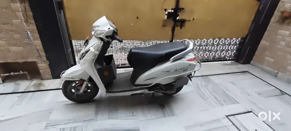 White Colour Hai