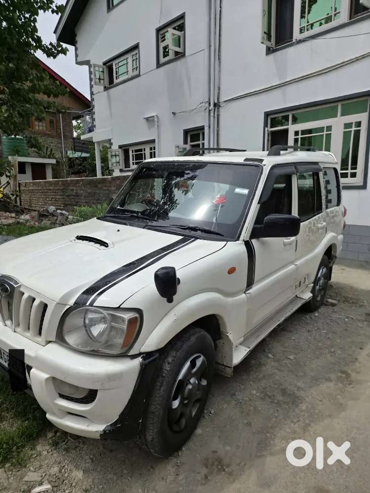 Scorpio Mhawk Talking Kashmiri Owner