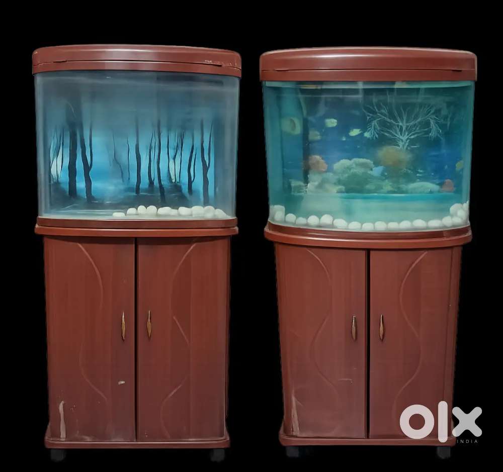 Feet Fish Tanks - Pets for sale in India | OLX