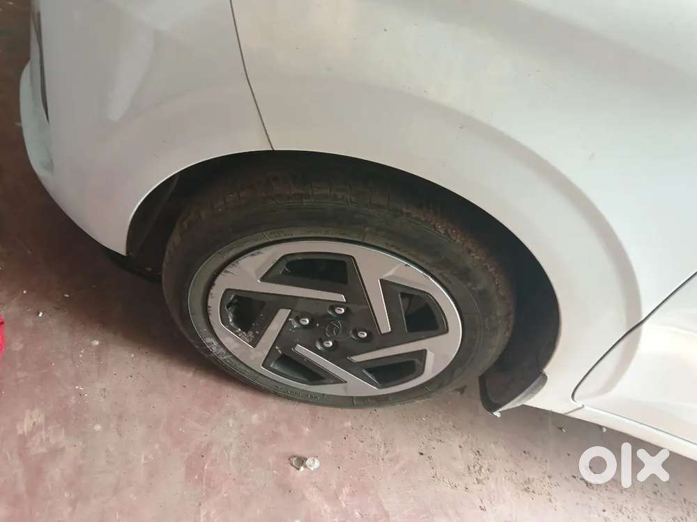 New 1 Year Old And New Condition