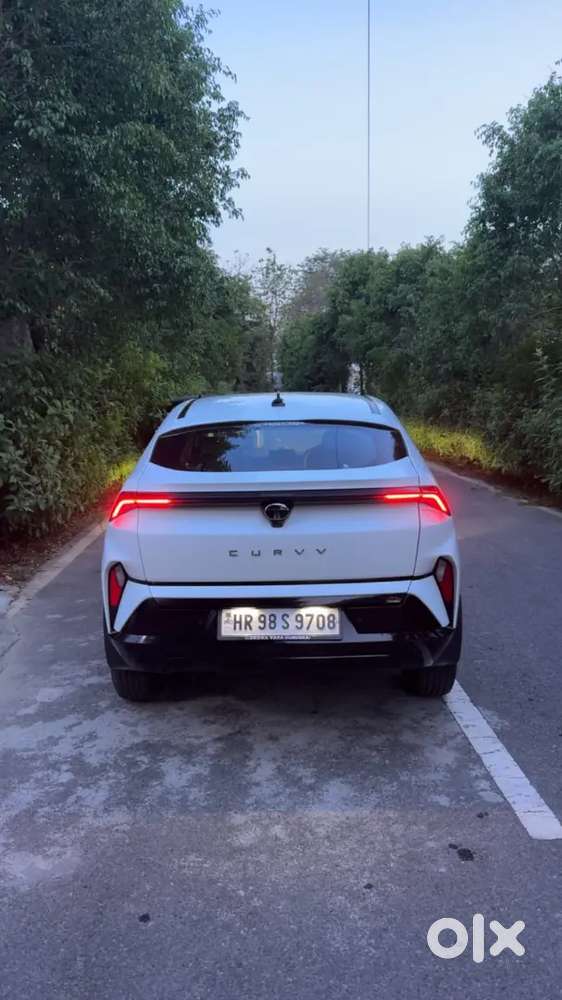 Tata Curvv Plus Petrol 2024