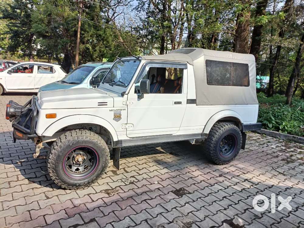 Gypsy King... All Papers  Are Up To Date