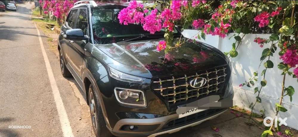 Deep Forest Auto Venue For Sale