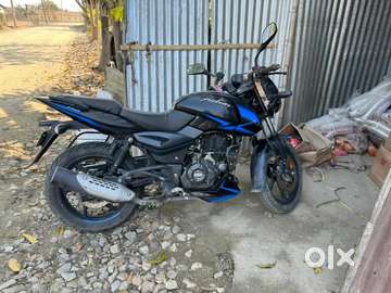 Olx pulsar cheap