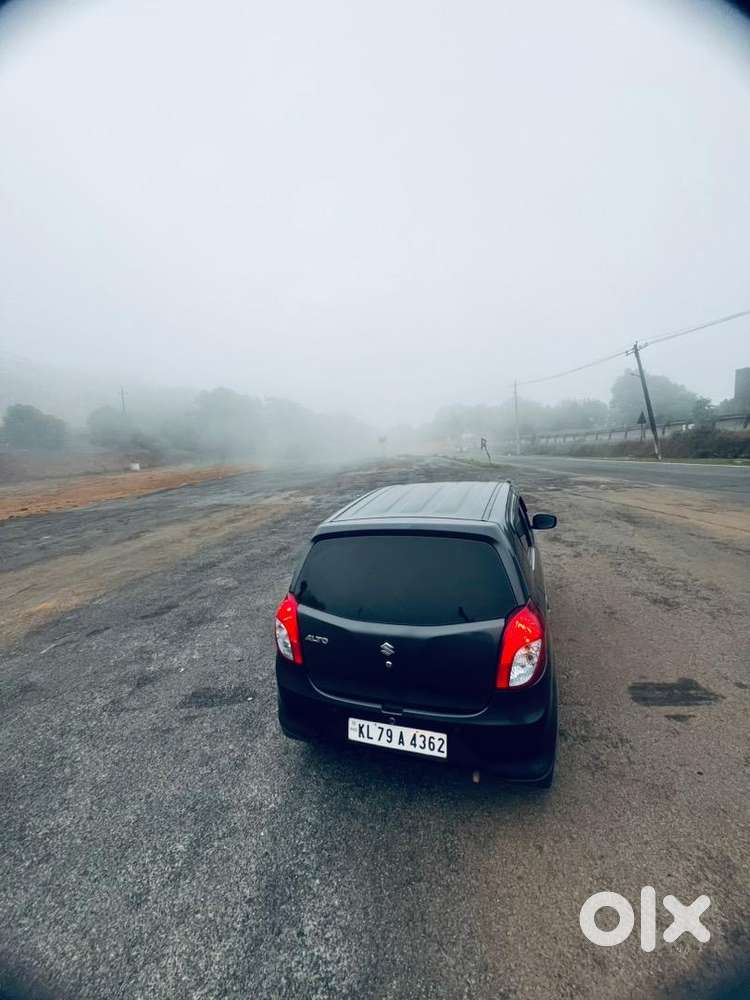 Maruti Suzuki 2022 Year
