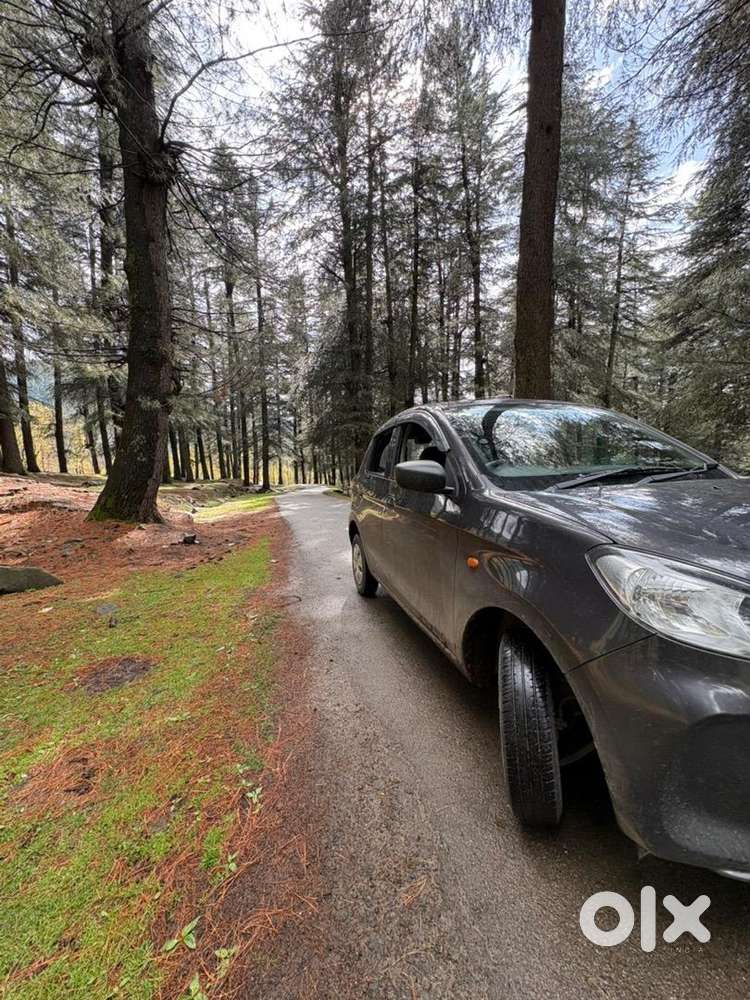 Maruti Suzuki Alto K10 2024 Petrol Well Maintained