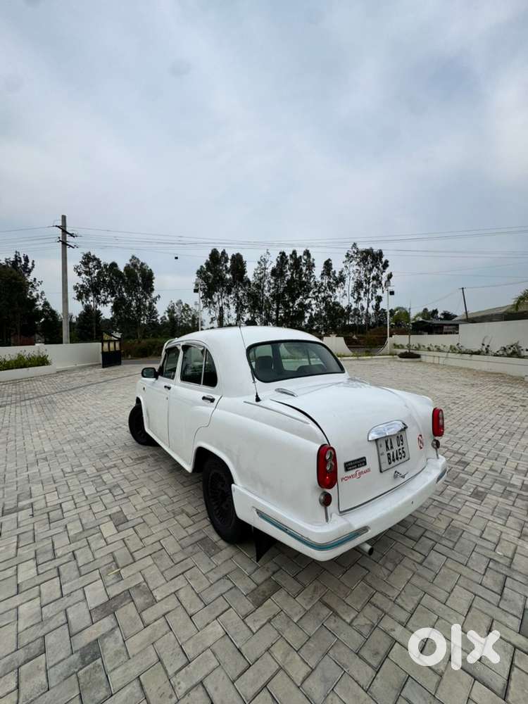 Urgent Sale Ambassdor