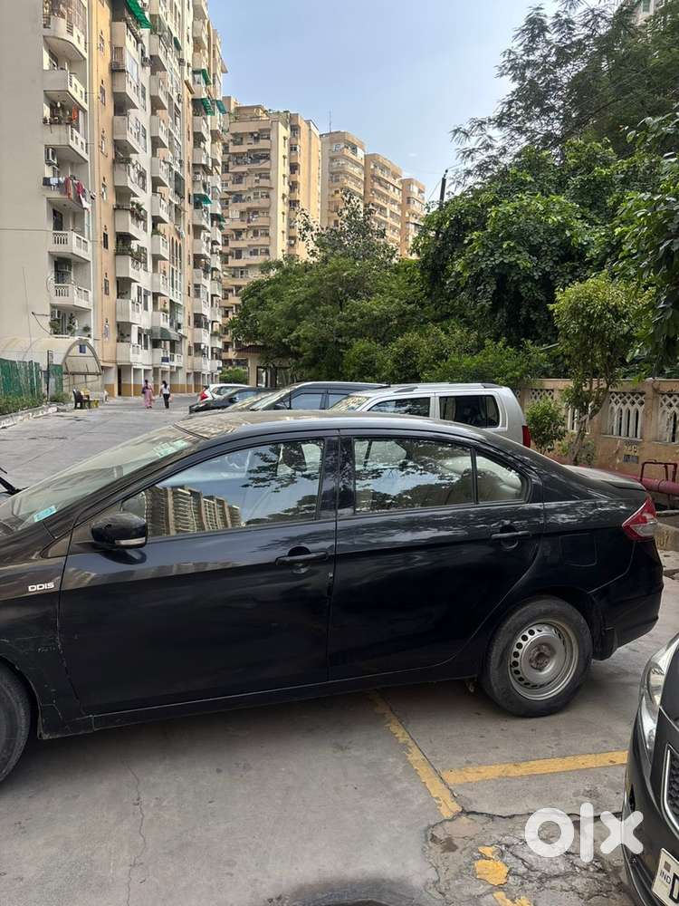 Maruti Ciaz Diesel Manual 2016 Year