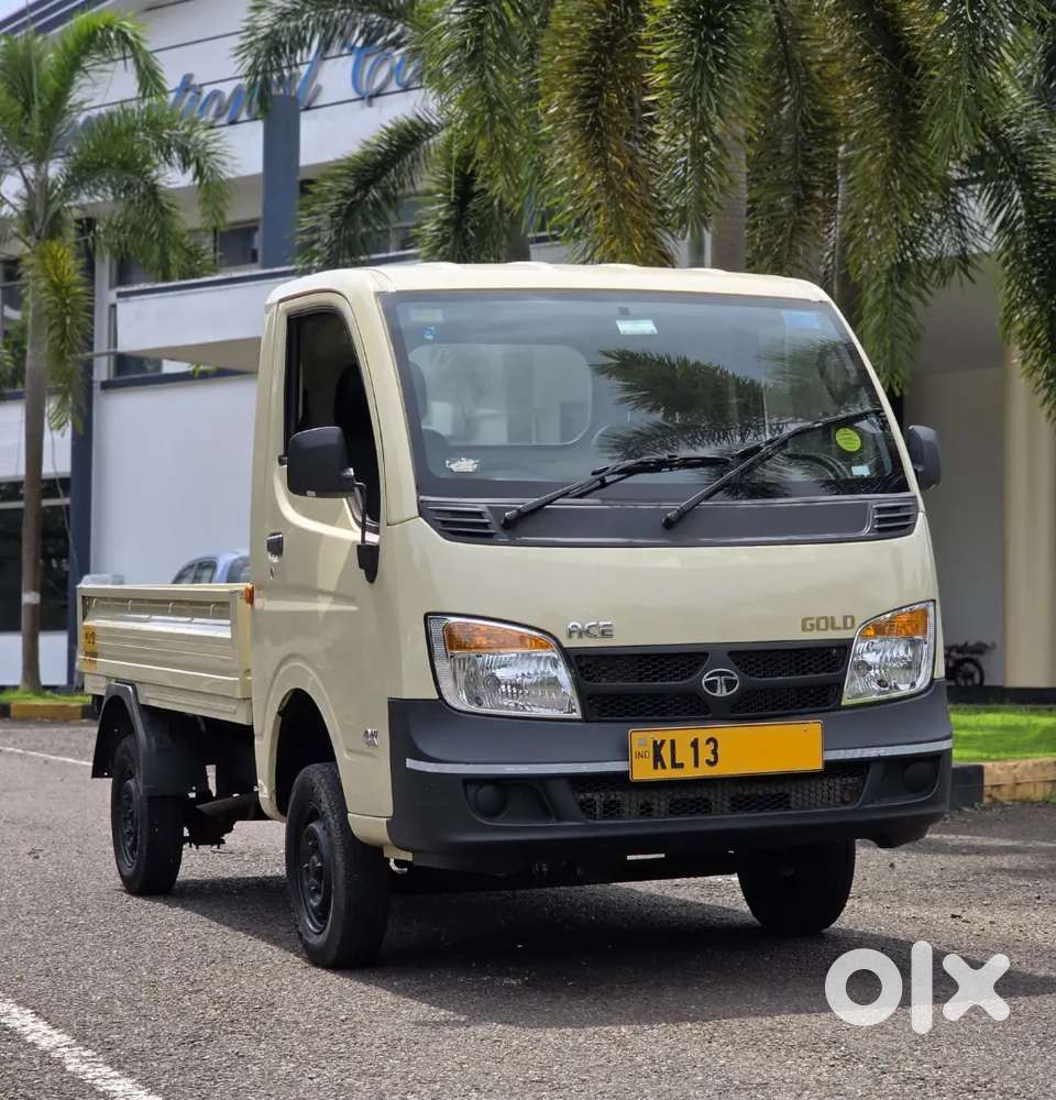Tata Ace Gold Petrol 2024