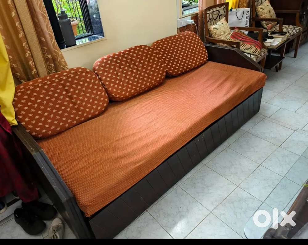 Convertible Sofa Cum Bed. Comfortable 3-Seater Sofa Cum Bed with Under