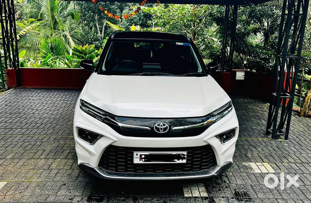 Strong Hybrid Single Owner Automatic Dual Tone