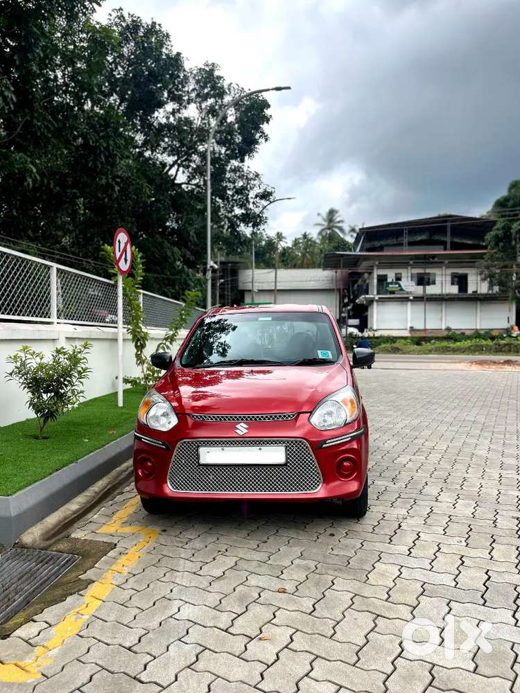 Alto 800 2019