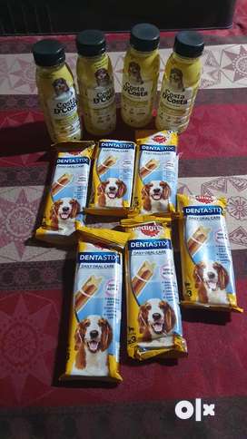 Dog Buy Sell Pet Food Accessories Online in Rohini OLX