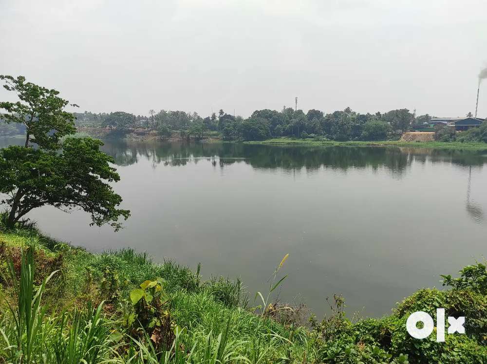 39 cent periyar water front land for sale in kanjoor,aluva,airport