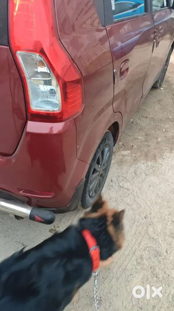 Maruti Suzuki Wagon R 2025 Petrol 35000 Km Driven