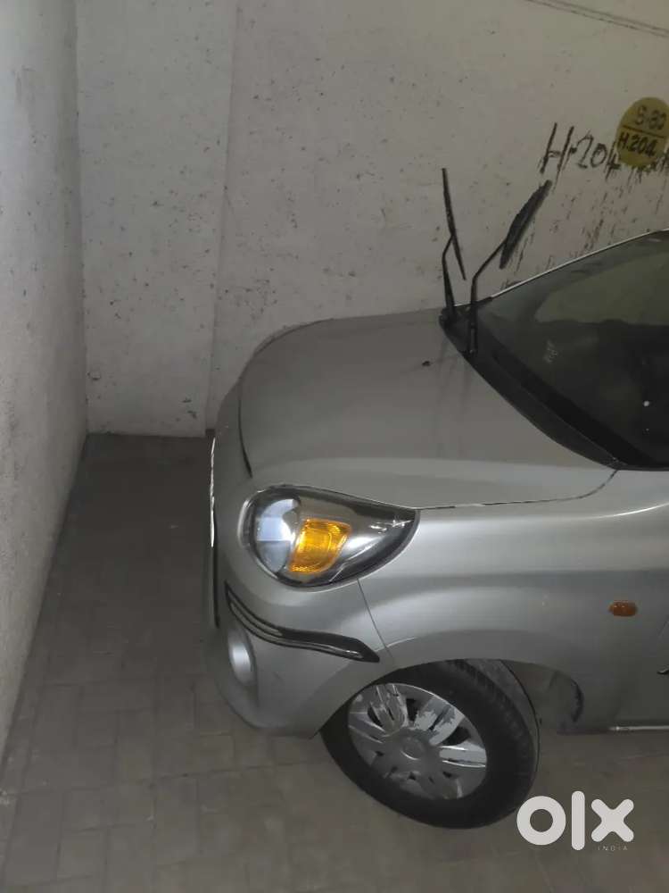 2019 Alto 800 0.8 Vxi