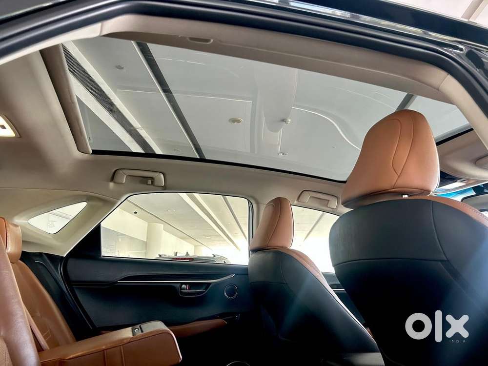 Lexus Nx Lexus-nx-300h-luxury, 2019, Cng & Hybrids