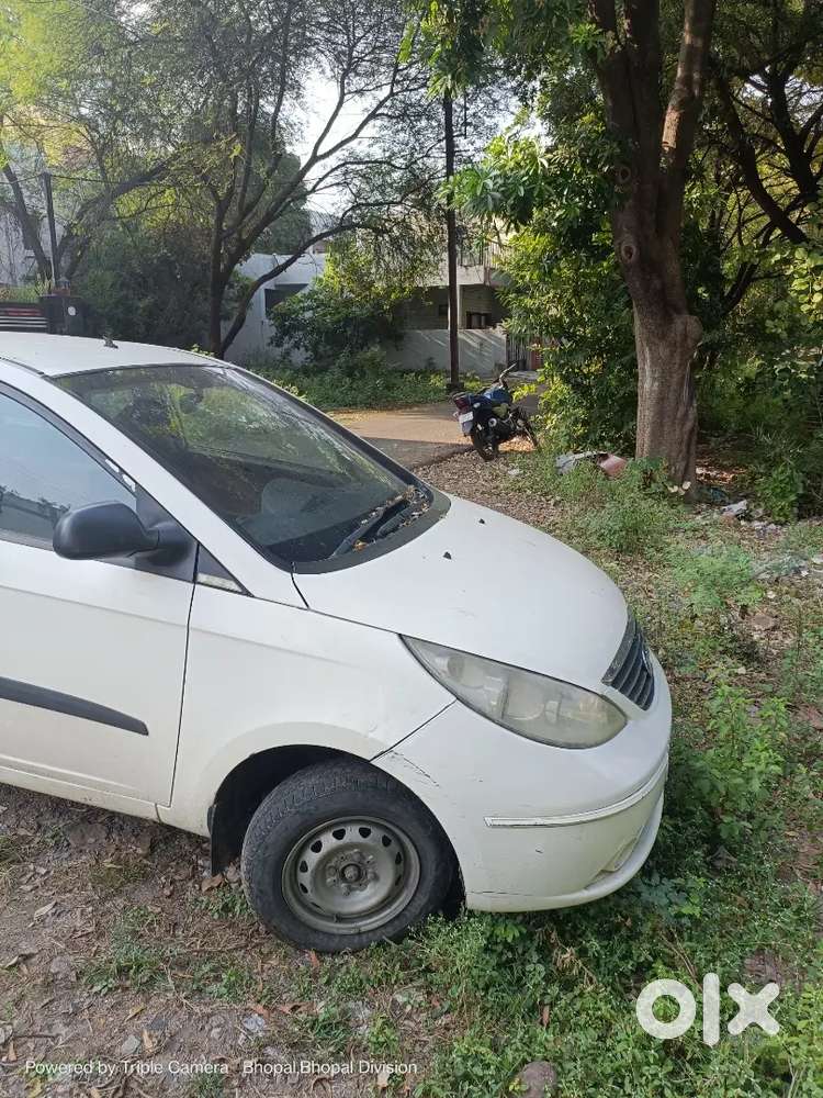 Indica Vista Tdi White Color