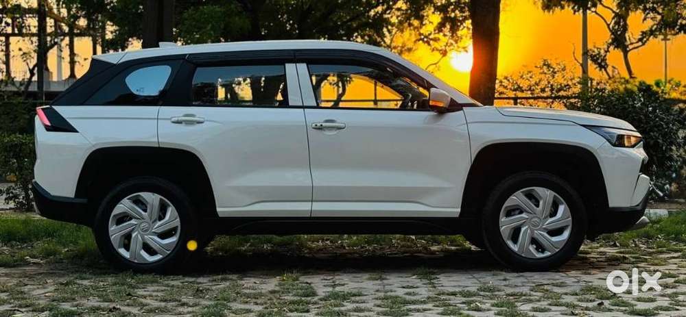 Maruti Suzuki Victoris, 2026, Cng & Hybrids