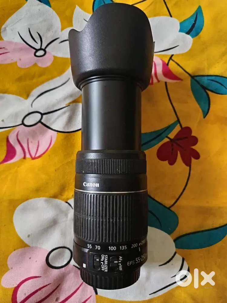 Canon EFs 55-250mm telephoto lens and Canon ef 50mm stm prime