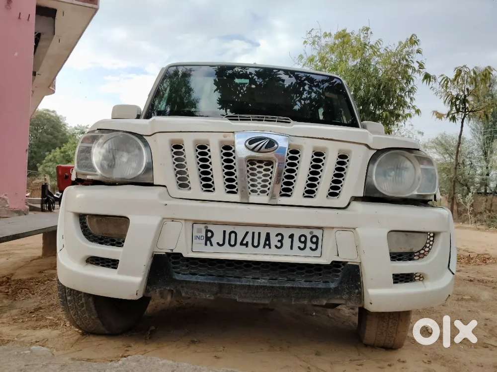 Body Condition 1 Number Condition