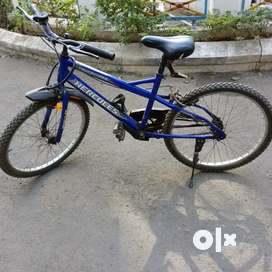 Cheap used store bicycles for sale