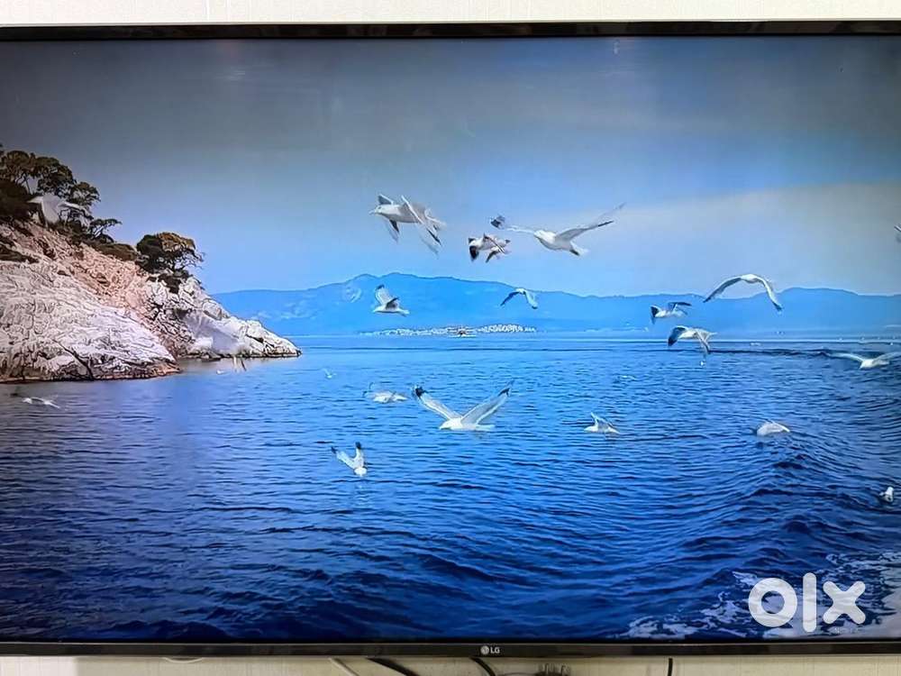 LG TV  49 inch good condition
