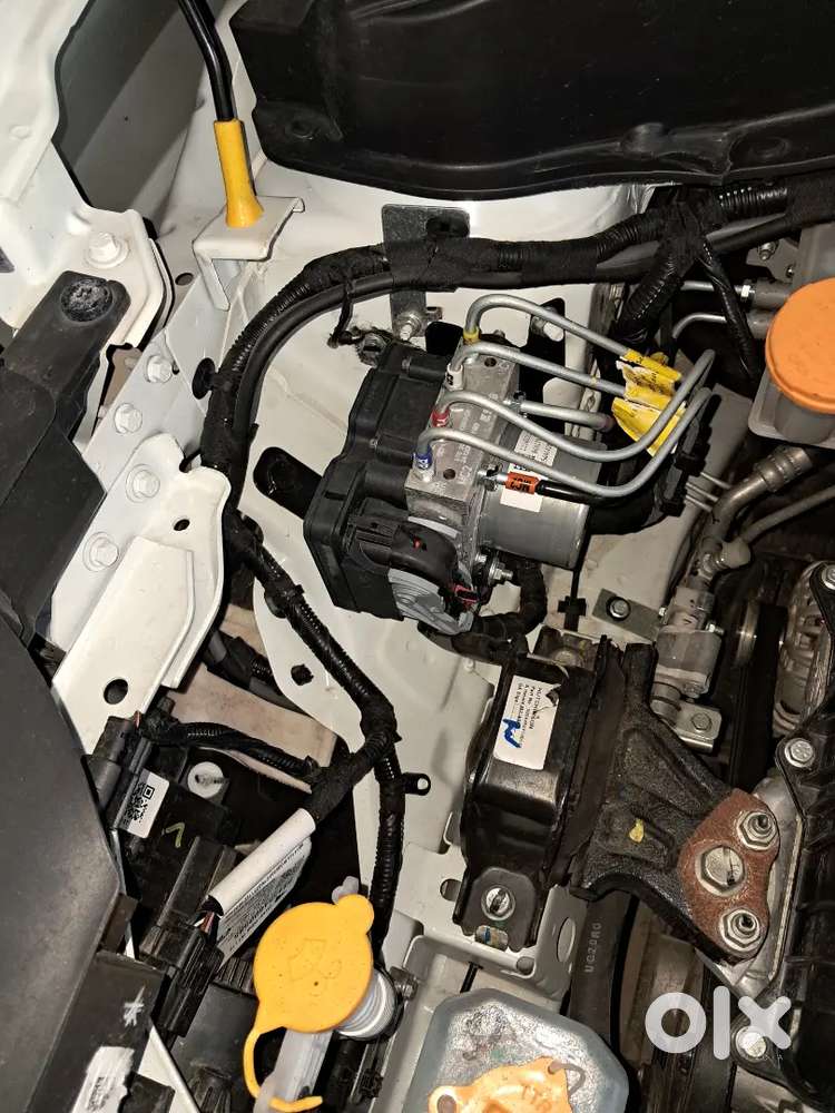 Accomplish Pluch Top 2 Very Ant Bat An Start