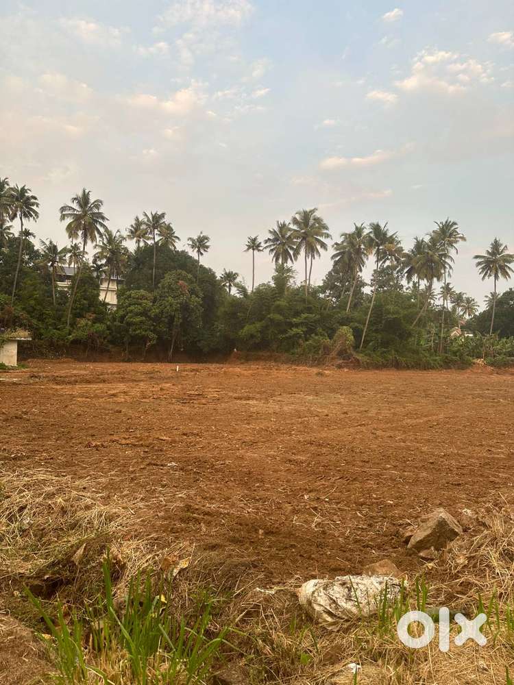 LAND FOR RENT IN NH ROAD PUDUKAD Lands & Plots 1753976571