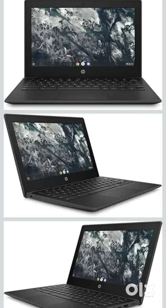 Laptop dell