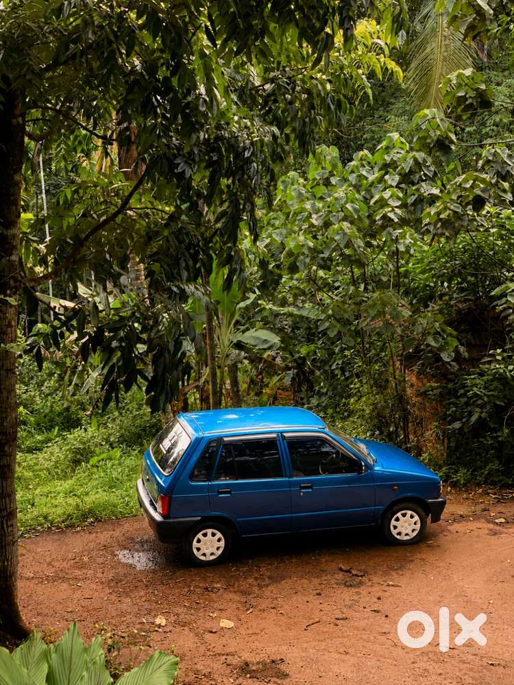 Maruti Suzuki 800 1999