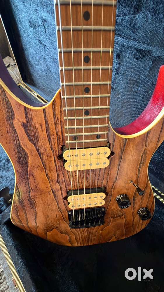IBANEZ RG421 HPAM (MODDED GUITAR)
