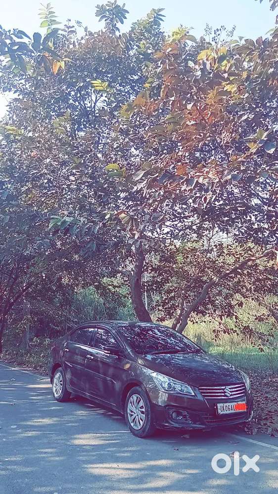 Maruti Suzuki Ciaz 2017  70,000 Km  Excellent Condition