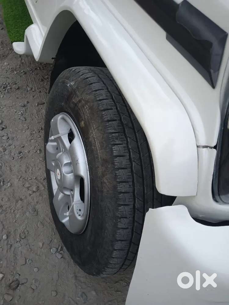 Mast Condition