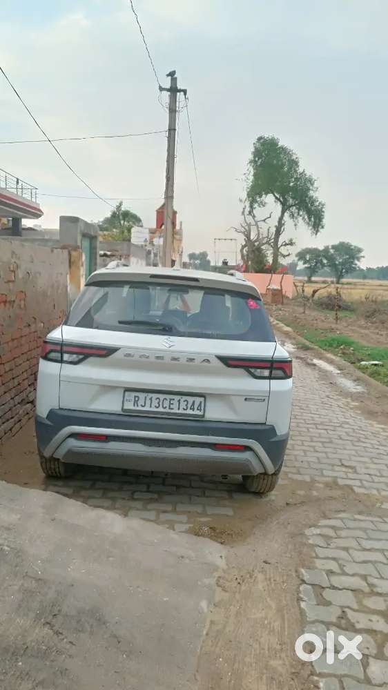 Maruti Suzuki Brezza 2022 Petrol 17186 Km Driven