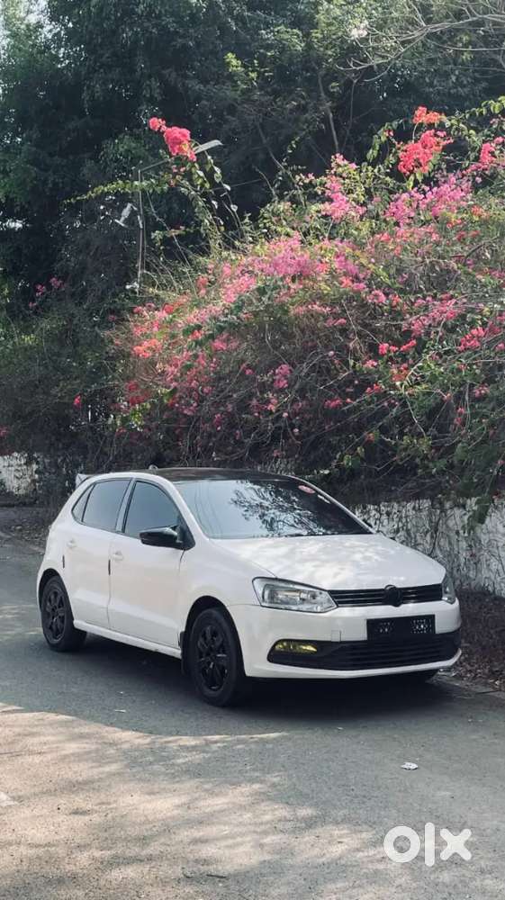 Polo For Sell