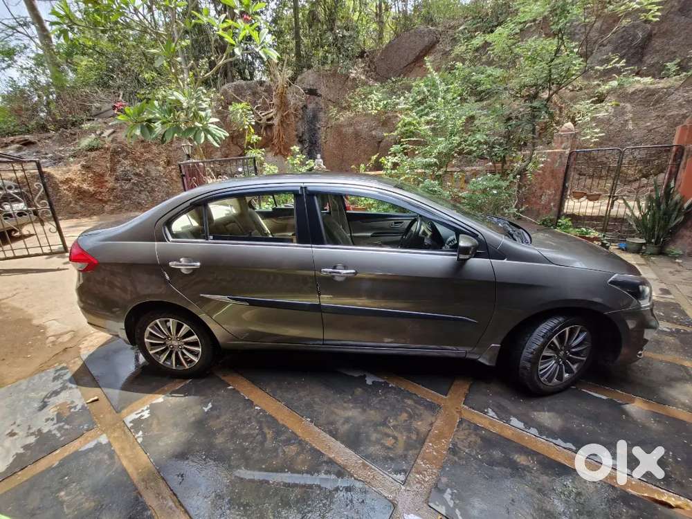 Maruti Suzuki Ciaz Smart Hybrid Alpha 2018 Petrol 32000 Km Driven