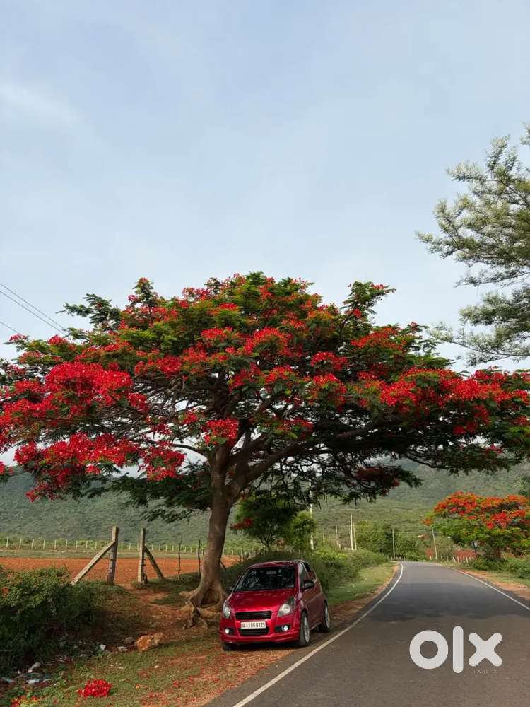 Maruti Suzuki Ritz 2010